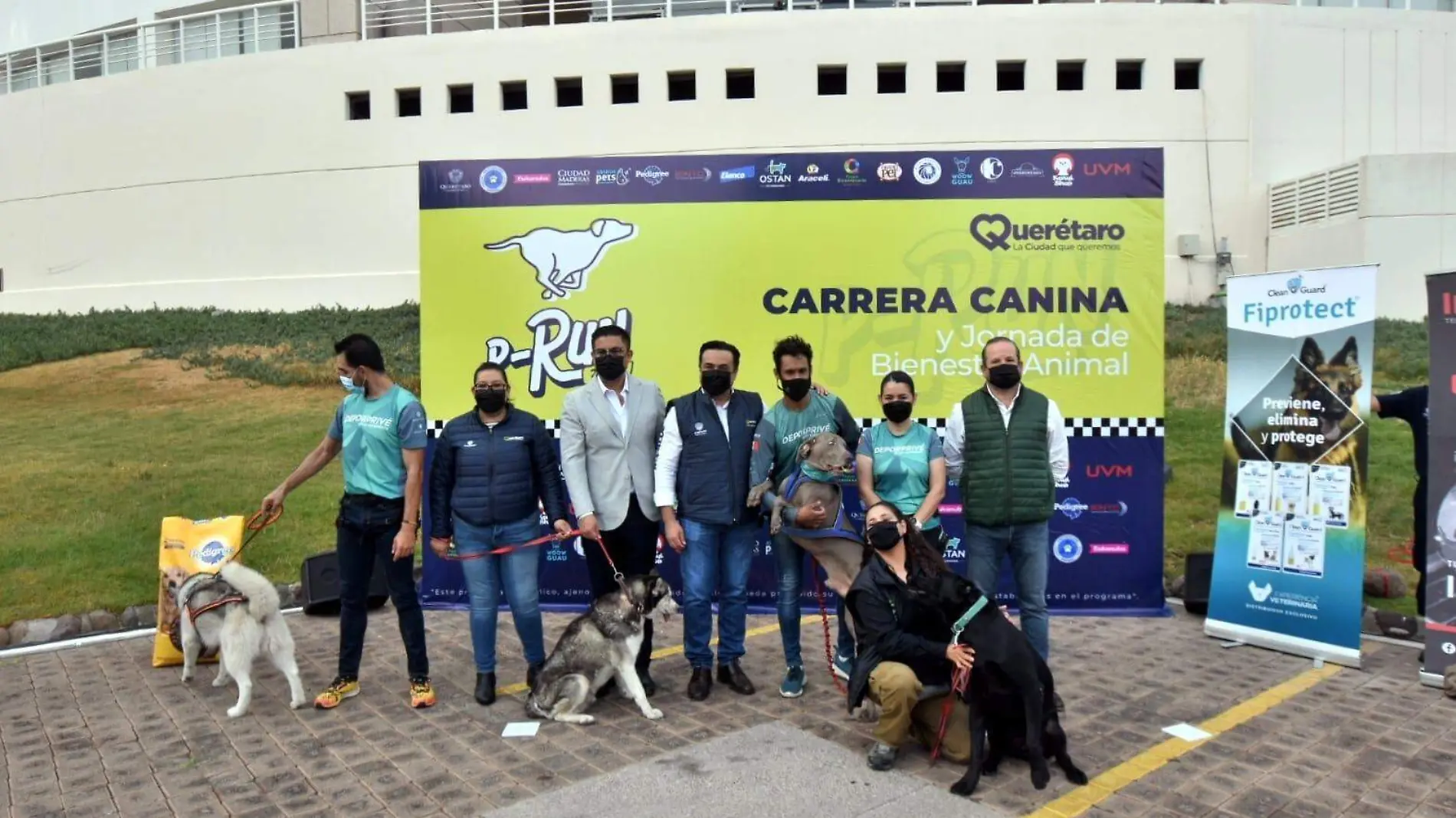 carrera canina